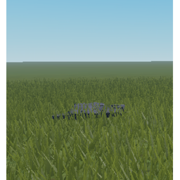Headless & Korblox Hangout