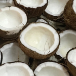 Coconuts clothings