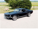 Mustang Car Lovers