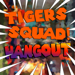 TIGERS SQUAD HANGOUT!