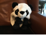 Best Pandas forever