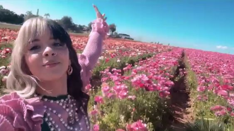 Melanie Martinez Quiz!! screenshot 1