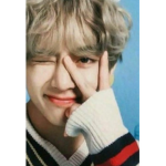 FOR THE BTS FANS