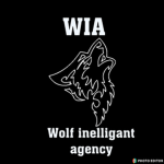 Wolf intelligent agency