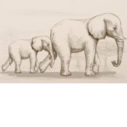 Elephant Squad Hang Out!