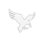 [TSL] Raven Corporation