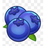 Blueberries Official Squad