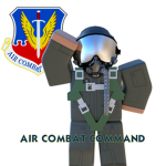 Air Combat Command (USAF)