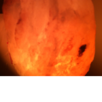 XXX5D