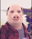 Sjushsjsjshs