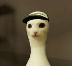 my bad image