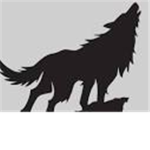 Alone Wolves SAOA