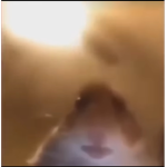 llMoltenFreddyll