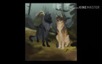 WolfPa1ck
