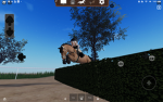 Silver hill roleplay