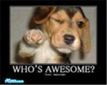 SUPER AWESOME GROUP OF AWESOMENESS!!!
