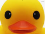 DA POWER OF THE DUCKS