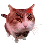 Angry Wawa