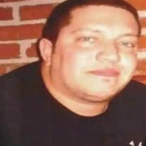 Jump Into Tonka Jahari!