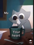 THE Animals to cute