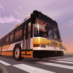City Buses
