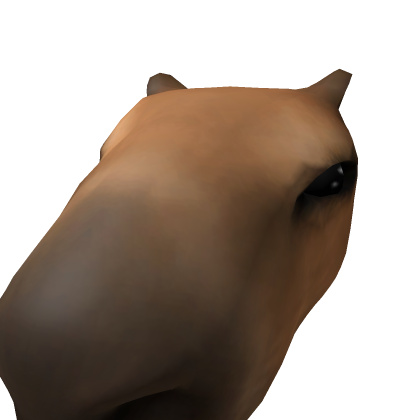 capybara head