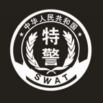 德州市rp 角色扮演交特警