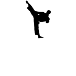 Roblox's karate school