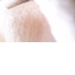 Ffhhaajjlloo