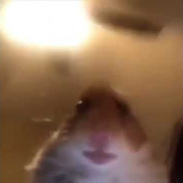 Play this if your bored
