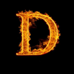 D play