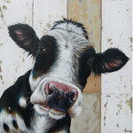 Country Cows fan group