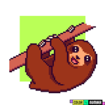 Thick sloth group