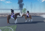 ~LVS Academy