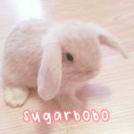 Sugarbobo