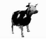 Cow MOB
