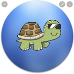 The Crazyyy Turtles