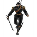 Assult Ninjas