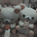 cutie mushrooms lol