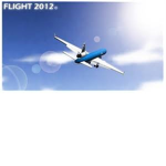 Robloxian Airport Group
