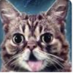 People with a good sense of humour