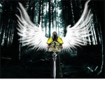 Angelic Wings