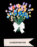 DAISIES4EVER