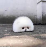 Join me group bacon cute