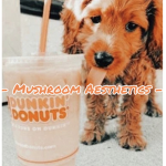 - Mushroom Aesthetics -