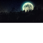 NightChangers