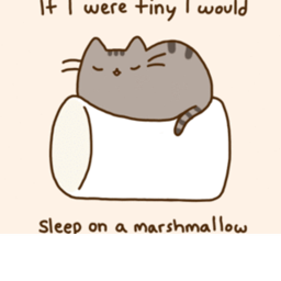 Marshmallow Kittens Hang Out UPDATE!
