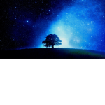 NIGHTshinexxx