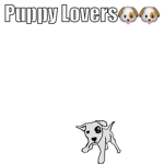 =D Puppies