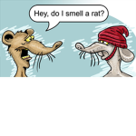 smelly rats unite